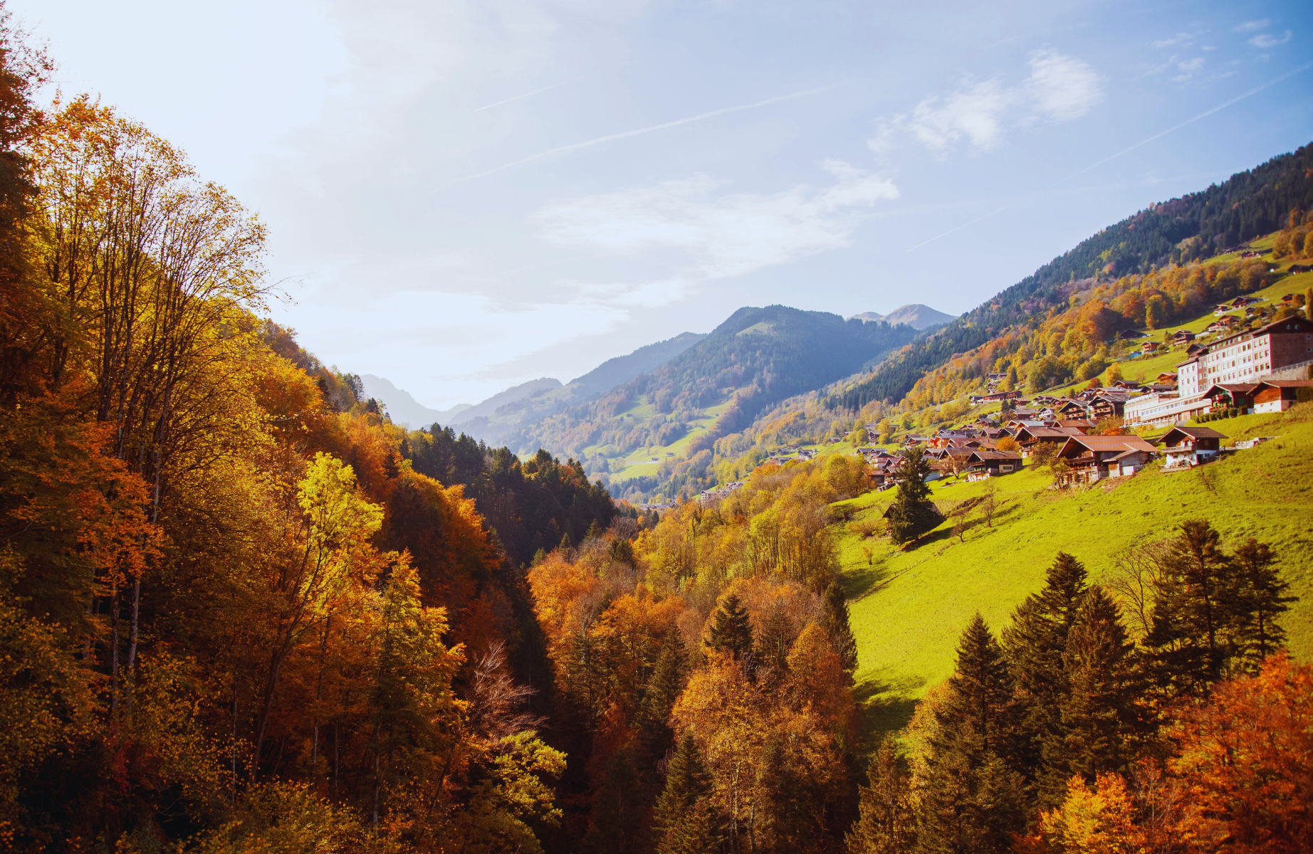 Regionalität und Gemeinschaft in den österreichischen Landschaften
